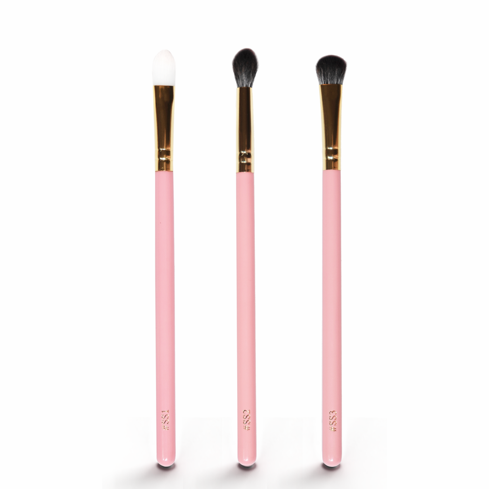 Santa Please Stop Here Mini Brushes