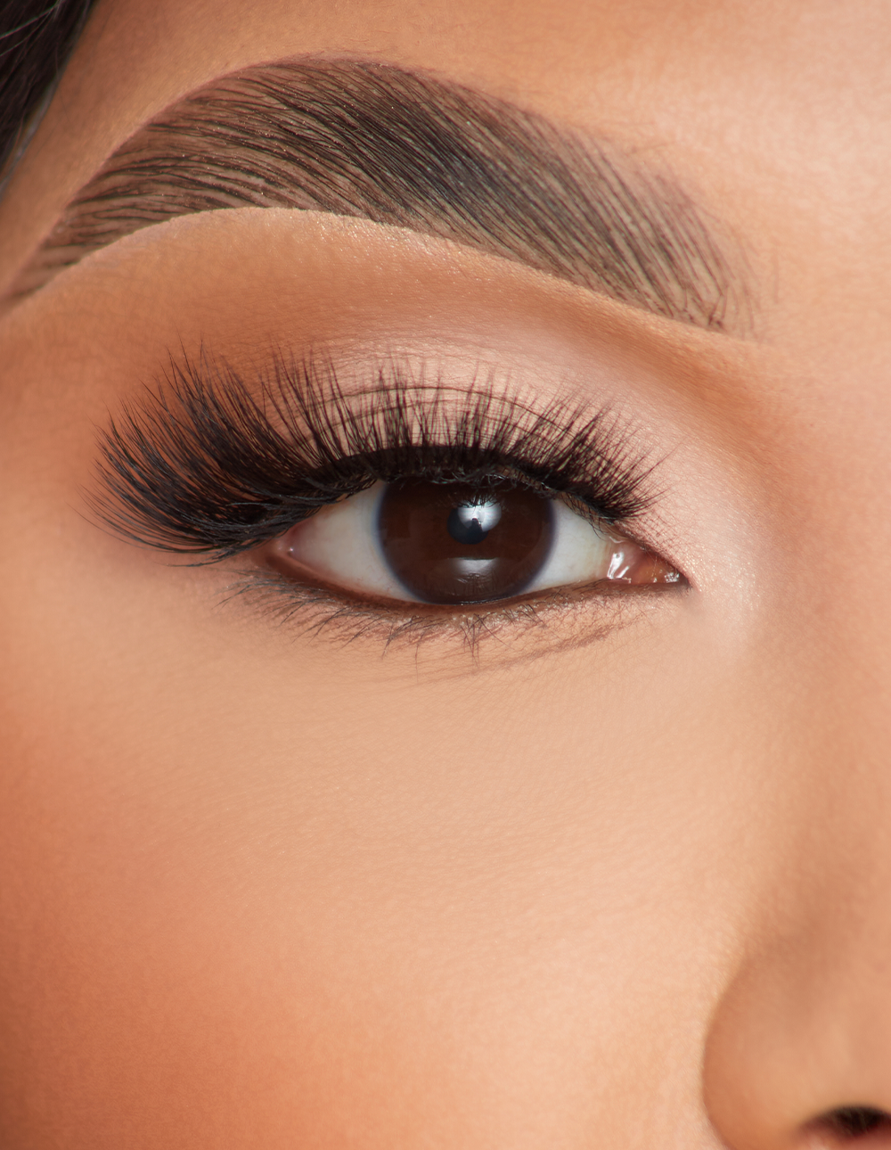 Feather Flair Lashes